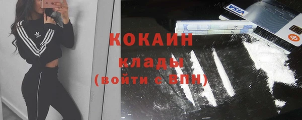 гашик Коряжма