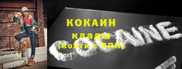 гашик Коряжма